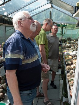  Kakteenhock bei Meier 2010